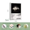 Billie Eilish WHEN WE ALL FALL ASLEEP framed album art in 24inch *16inch sizes with professional packaging process guide showing metal hooks, wood framing, and elaborate workmanship